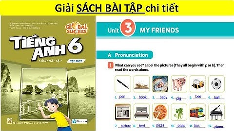 Đáp án sách bài tập tiếng anh lớp 6 năm 2024