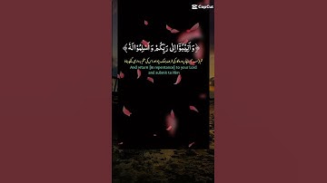 سورة الزمر #القرآن_الكريم #اكسبلور #duet #quran #دويتو #الراحة_النفسية #لايك