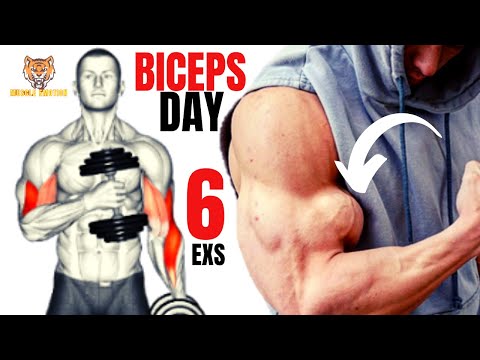 Video: Si Të Ndërtojmë Biceps Të Mëdhenj