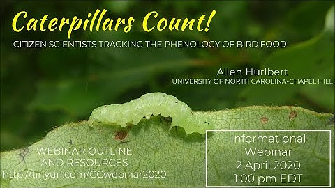 Caterpillars Count! Introductory Webinar, 2 Apr 2020