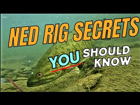 How to Fish the Ned Rig 