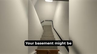 How to Detect Water Damage in Your Basement: 7 Warning Signs