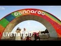 Bonnaroo at 15: The Masterminds Behind the Festival