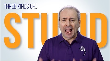 Three Kinds of Stupid: Avoid Project Failure