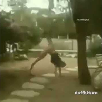 dasar anjing  KUMPULAN STORY WA