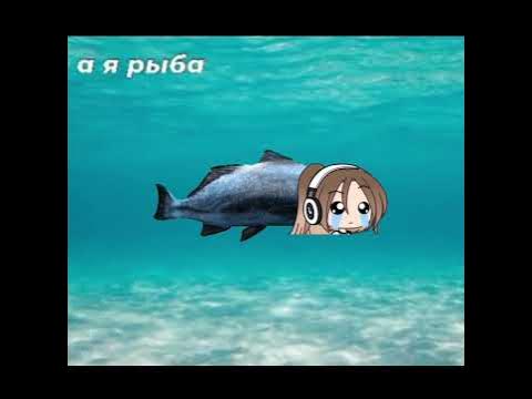 а я рыба я рыба я рыба🐠🐋🐟!!! - YouTube