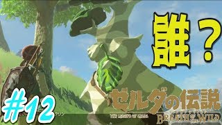 【ゼルダの伝説 ブレス オブ ザ ワイルド】#12 初見プレイ【野生馬を手懐ける】Switch