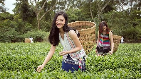 Bảo Lộc - khúc tình ca