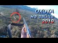 Охота на зайца 2019. Зайцы поднимались из-под ног