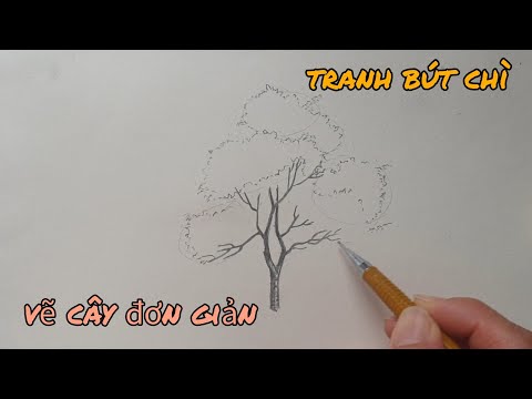 Video: Cách Vẽ đàn Hạc Bằng Bút Chì