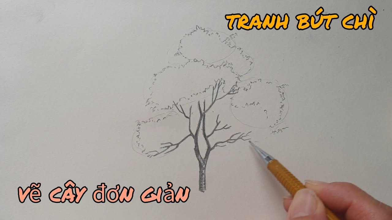 Không cần phải tốn quá nhiều thời gian và công sức, hãy vẽ cây bằng bút chì theo những thủ thuật vẽ đơn giản nhất. Hình ảnh sẽ giúp bạn hiểu rõ hơn về cách làm nhé!