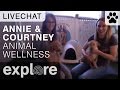 Upper animal awareness with courtney johnson  annie harvilicz  live chats