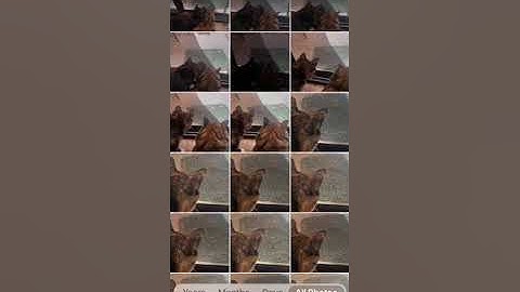 How to create a contact sheet in iPhoto