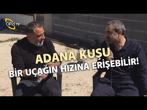 Video: Küresel Isınmaya Karşı Sanat: Gerçekçi Resimlerde Arktik Buzullar Zaria Forman