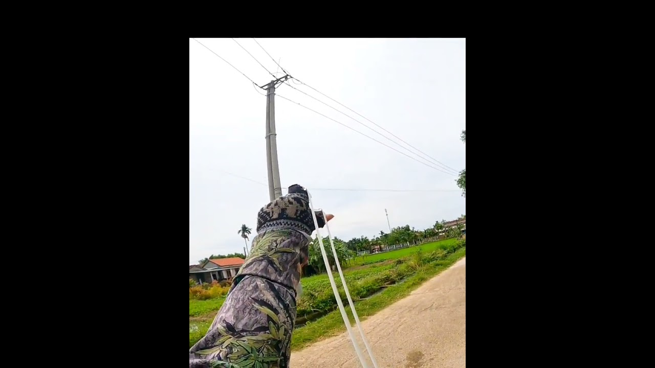 Slingshot Hunting Birds 