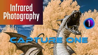 Capture One Pro for Infrared Photography