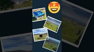 3535 Brownstown Rd video tour