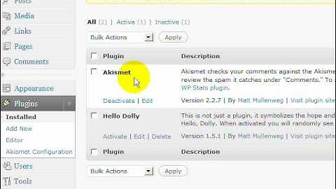 Spam Prevention - Activate the Akismet Plugin.wmv