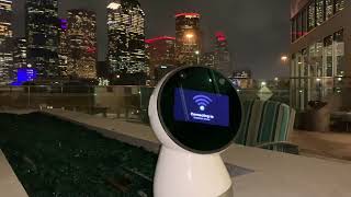 Jibo Flashback - It Wasn’t Always Sunshine & Roses 🌞🥀 @Miraenda
