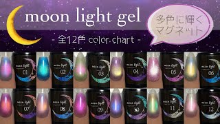 ネイル工房】ムーンライトジェル 全12色カラーチャート - YouTube