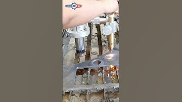 Gantry plasma cutting machine a plasma cutting torch and a flame cutting torch