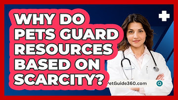 Why Do Pets Guard Resources Based On Scarcity? - PetGuide360.com