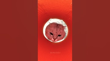 Introducing the "VitaWear SmartBand," a next-generation wearable gadget😍😼v495