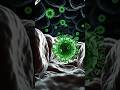 Body Per Virus Kese Attack Karta He..?||Infection Kese Hota He Explain By 3D Animation 🔥 #virusplus