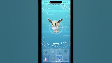 ✨Shiny Eevee Caught On Eevee Community Day!✨ #pokemon #pokemongo #pokémonshiny