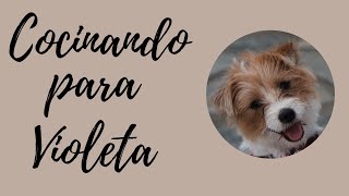 Violeta Vio Jack Russell And Her Meals