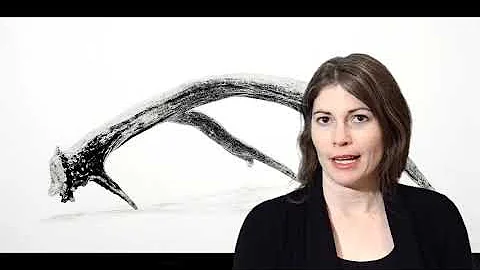 Sandra Phillips Gallery presents:  Anna Kaye