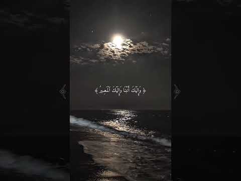 تلاوة خاشعة تلاوة هادئة تلاوة سورة البقرة تلاوة سورة الفاتحة