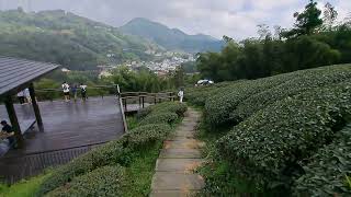 太平雲梯