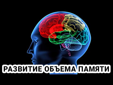 Развитие мышления связано с развитием