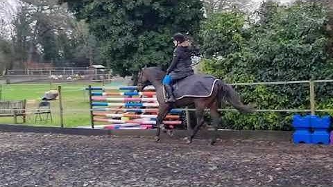 Advert reference - 398735