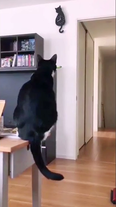Jam Dinding Kucing ekor bergerak