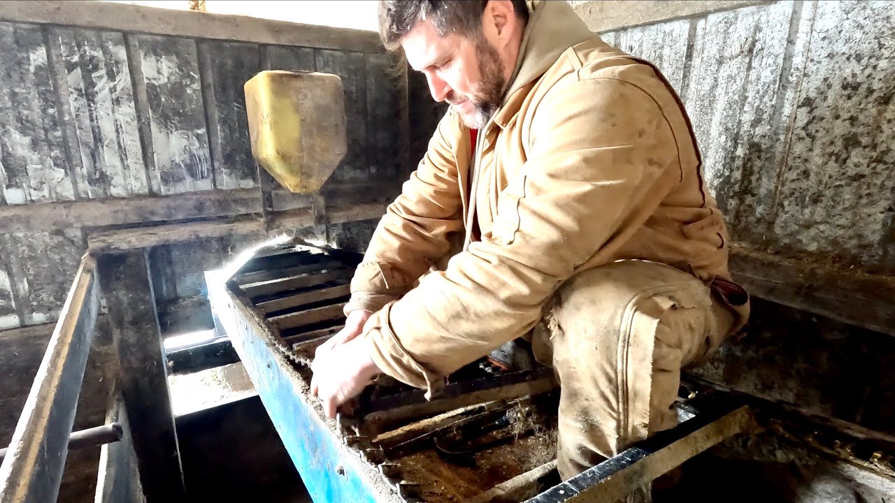 wet-winter-wreaks-havoc-on-feeding-system-youtube