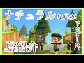 【あつ森】プレイ時間600時間以上のナチュラル島の紹介*⋆☽⋆゜【あつまれどうぶつの森】