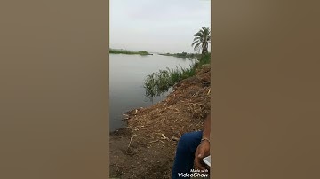 سورة طه تجويد مؤثر بصوت الشيخ جمال الصعيدي