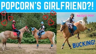 Popcorn meets his girlfriend?! + My naughty pony BUCKING! * Hacking in the New Forest *