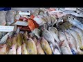 سوق السمك المركزي بجدة "البنقله" 🐟 this is the fish market in my city 😍