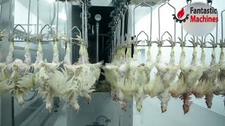 Amazing Poultry Processing and Packaging Solutions