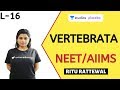 L16: Vertebrata | Animal Kingdom | Pre-medical - NEET/AIIMS | Ritu Rattewal
