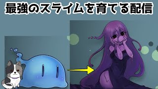 最強のスライム娘（素子）を育てる配信【スライム娘はつよくなりたい】