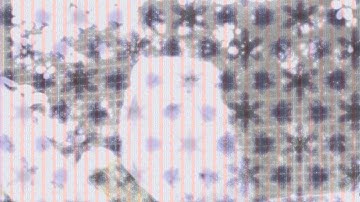 Bailter Space ~ Shine