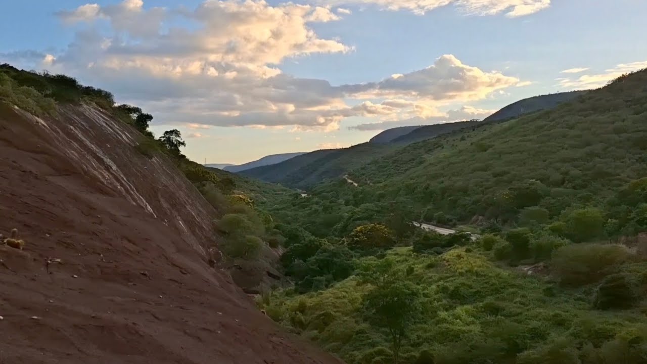 CAPRICHOS DA NATUREZA DO KM100 NA BR116 // #paponaestrada #br116 #rodovia #rodoviasbrasileiras 