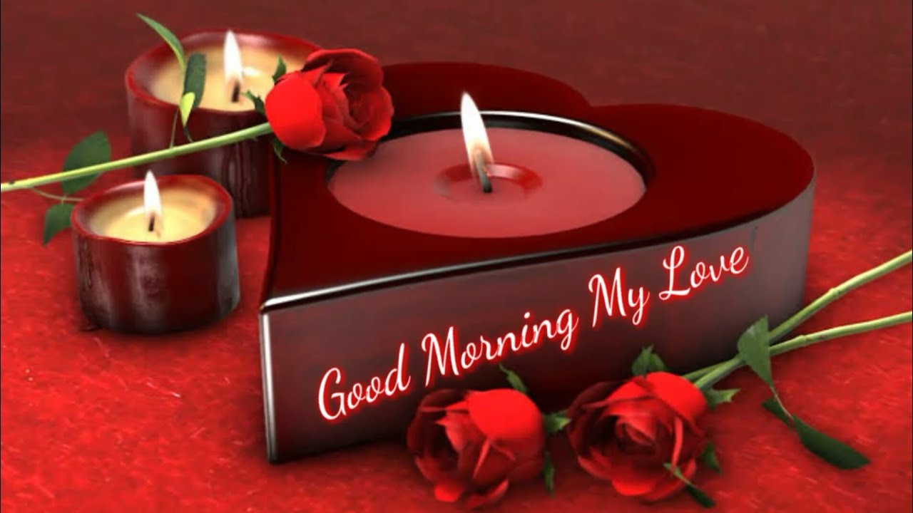 Good Morning My Love Good Morning Whatsapp Status YouTube