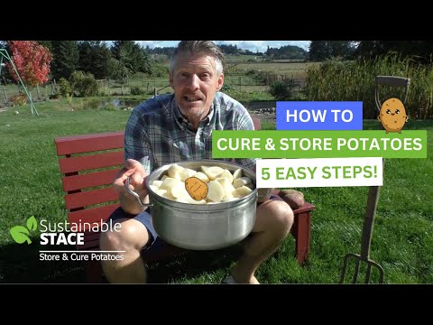 Video: How to Freeze Apples: 13 Steps (with Pictures)