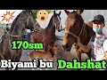 ОТ БОЗРИДАГИ БИЯНИ ТЕЗДА КУРИНГ ДАХШАТ 04.05.2021. OT BOZORIDA BIYANI DAHSHATI 04.05.2021 SHAHIDON