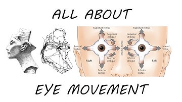 Introduction to Neuroscience 2: Lecture 9, Visuomotor Control